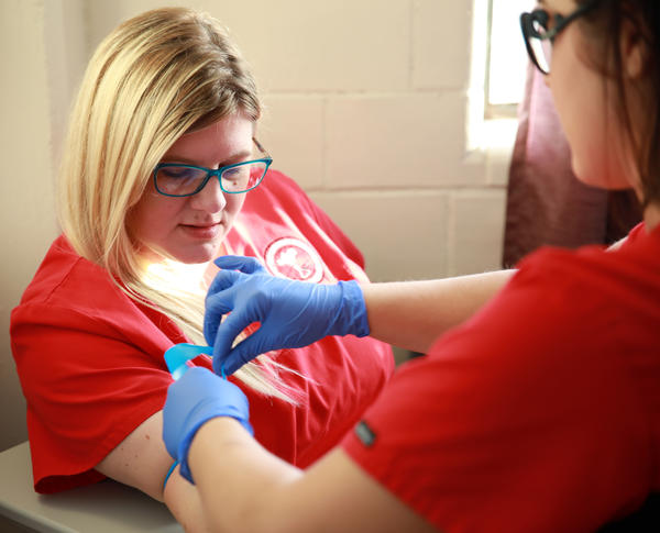 Phlebotomy Student Preparing to Draw Blood From Another Phlebotomy Student During a Lab Exercise