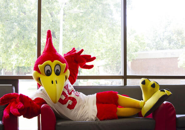 Redd T. Raven Laying on Sofa in Student Lounge With View of Main Campus in Background